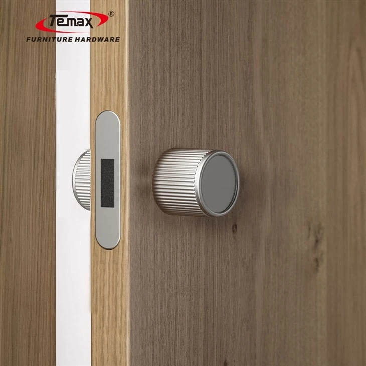 Temax Invisible Door Lock X006 factory